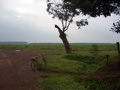 gal/08 - Last Moto Trip/_thb_RIMG1916.jpg
